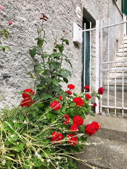 La Dolce Vita Teriasca Exteriör bild